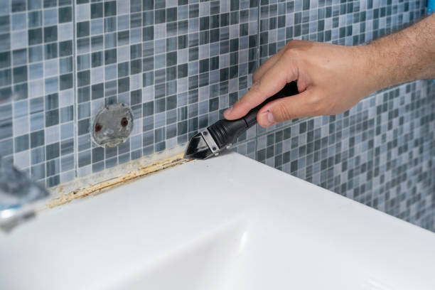 Mold Removal and Inspection in Frederick, CO